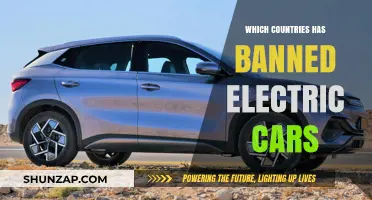 Electric Vehicle Restrictions: Which Countries Have Banned EVs and Why?