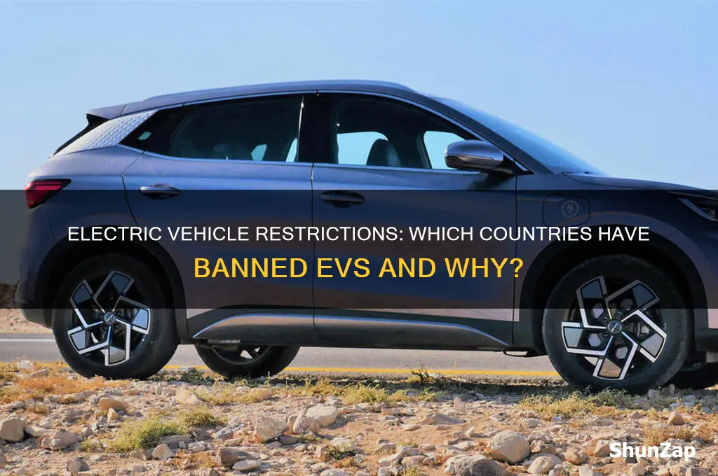 which countries has banned electric cars