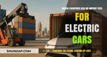 Global Green Incentives: Countries Offering Zero Import Fees for Electric Cars