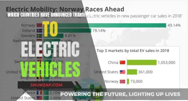 Global Shift: Countries Leading the EV Revolution