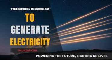 Global Natural Gas Power: Countries Generating Electricity from Natural Gas