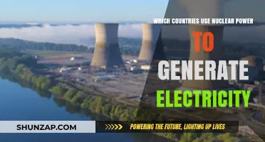 Global Nuclear Power: Countries Generating Electricity Through Atomic Energy