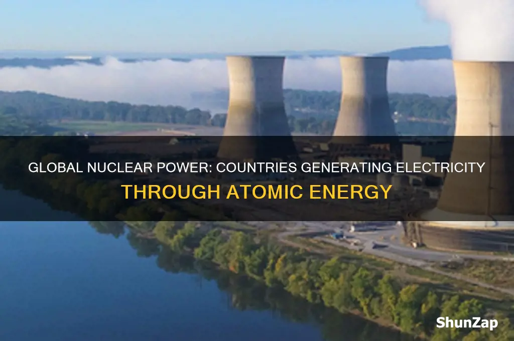 which countries use nuclear power to generate electricity