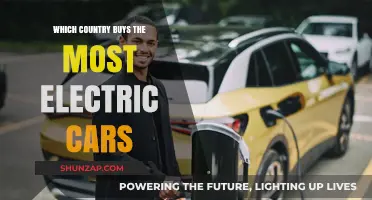 Global Leaders in Electric Vehicle Adoption: Which Country Tops the List?