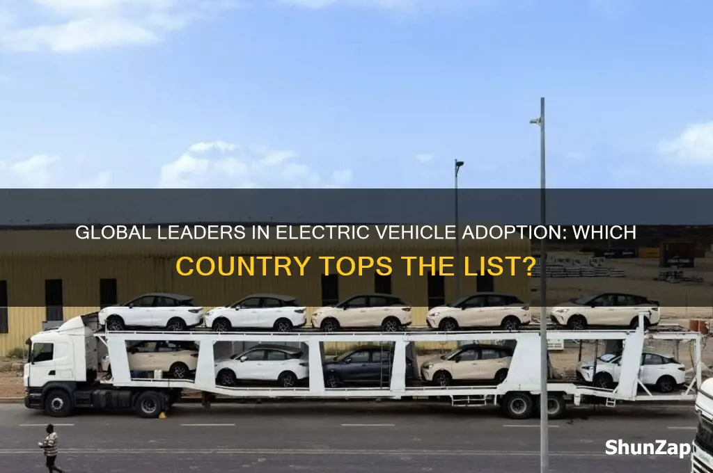 which country buys the most electric cars