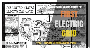 The First Electric Grid: A Country's Innovation