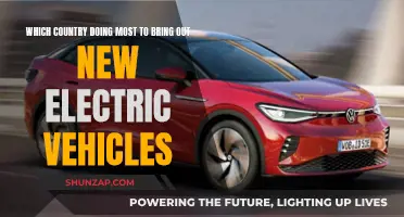 The Race for Electric Vehicles: Who's Leading the Charge?