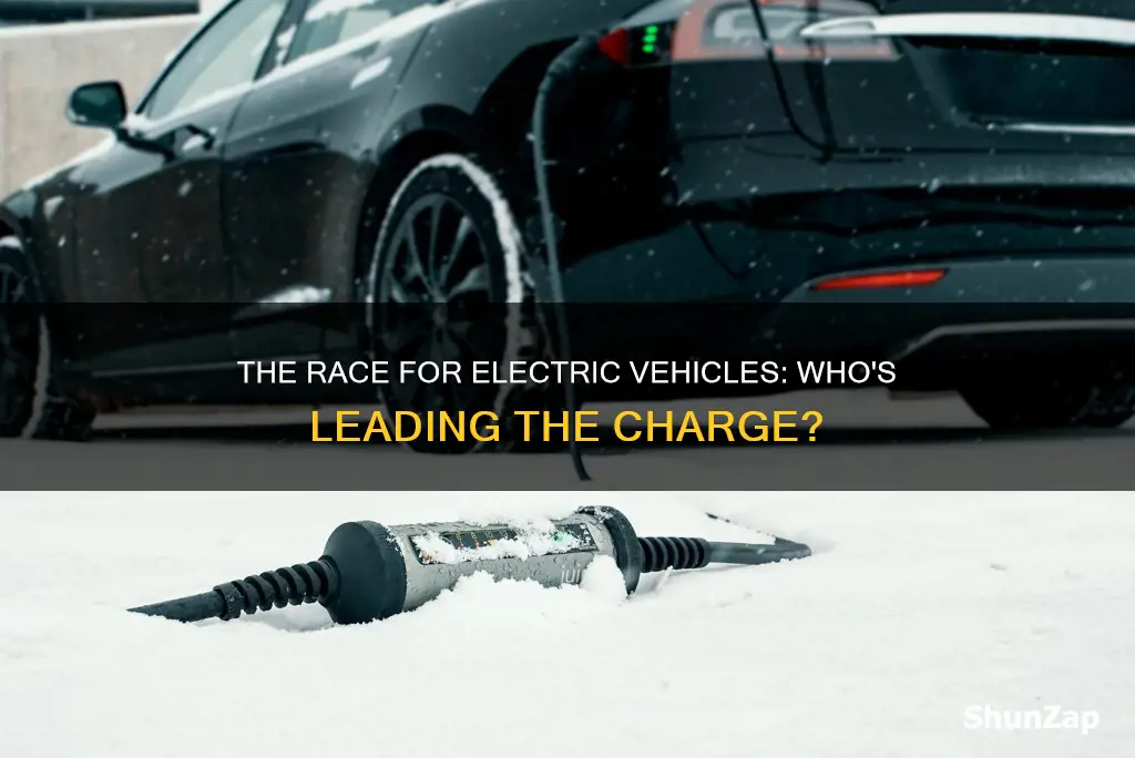which country doing most to bring out new electric vehicles