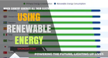 Leading the Green Revolution: Countries Powered Entirely by Renewable Energy