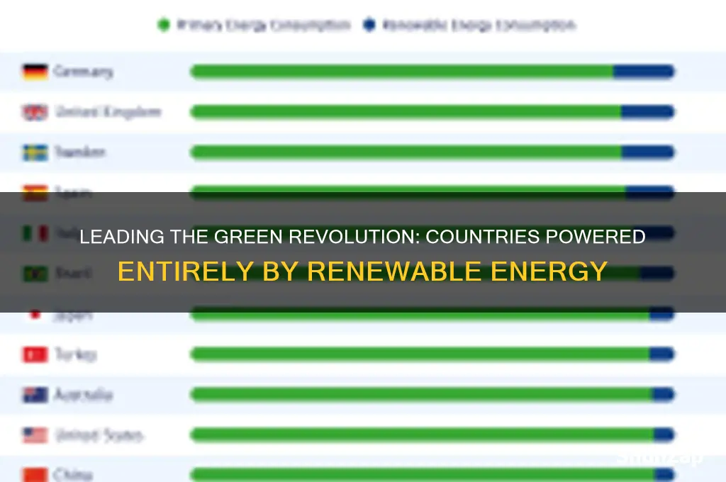 which country generate all their electricity using renewable energy