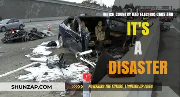 Electric Car Disaster: Which Country's Ambitious Plan Backfired?
