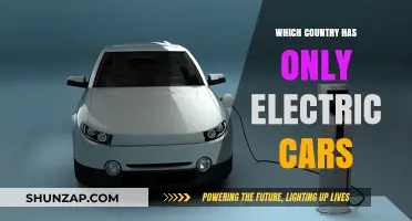 Revolutionizing Roads: The Country Where Electric Cars Rule the Streets