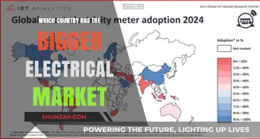 Electrical Market Giants: Who Leads the Global Industry?