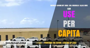 Leading the Charge: Which Nation Tops Electric Car Adoption Per Capita?