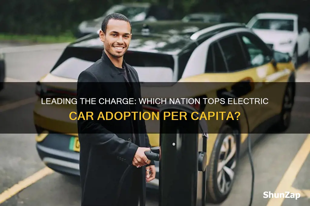 which country has the highest electric car use per capita