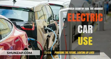Leading the Charge: Which Country Dominates Electric Car Adoption?