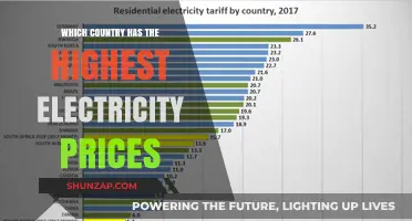 Electricity Prices: Who Pays the Most?
