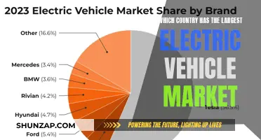 Global EV Market: Who Reigns Supreme?