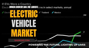 Electric Vehicle Revolution: Which Country Leads the Global Market?