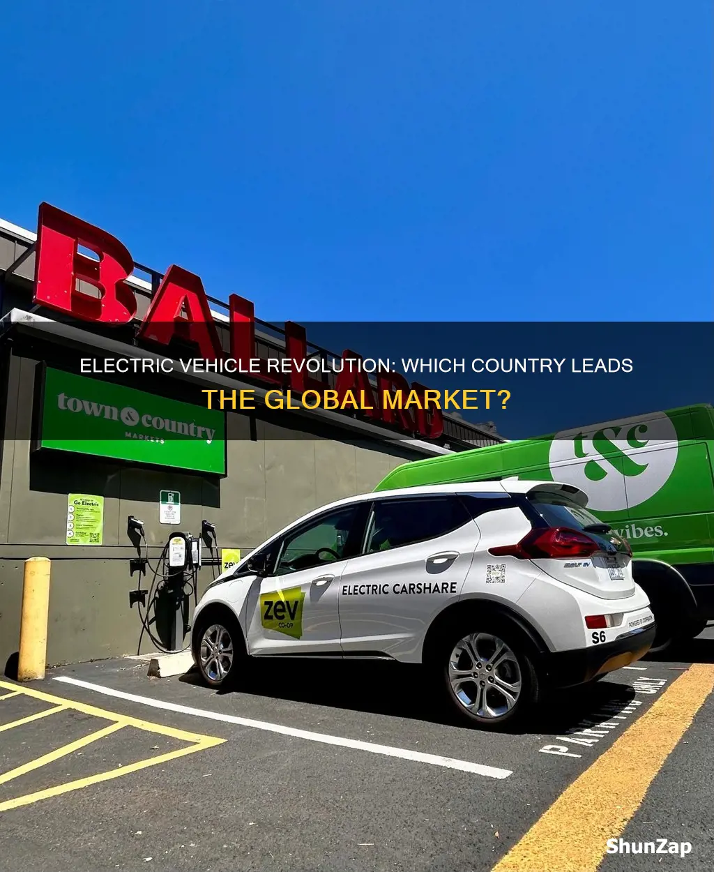 which country has the largest electric vehicle market