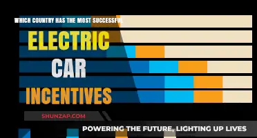 Global Leaders in Electric Car Incentives: Which Country Tops the List?