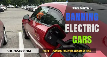 Global Shift: Which Country is Banning Electric Cars and Why?