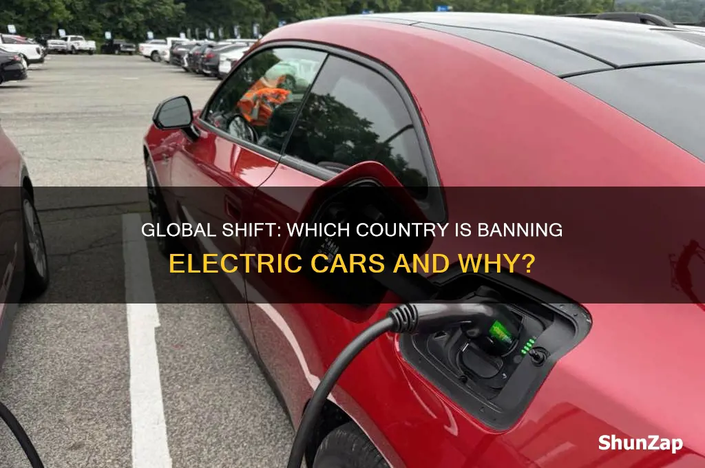 which country is banning electric cars