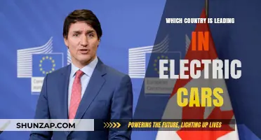 Global Electric Vehicle Leadership: Which Nation is Charging Ahead?
