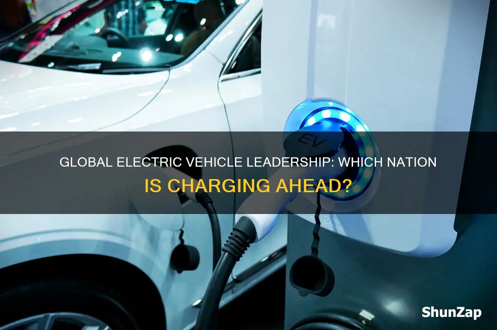 which country is leading in electric cars