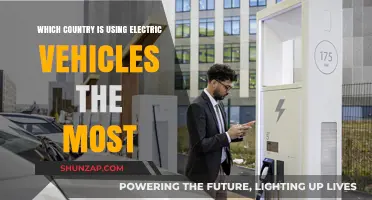 Global Leaders in Electric Vehicle Adoption: Which Country Tops the List?