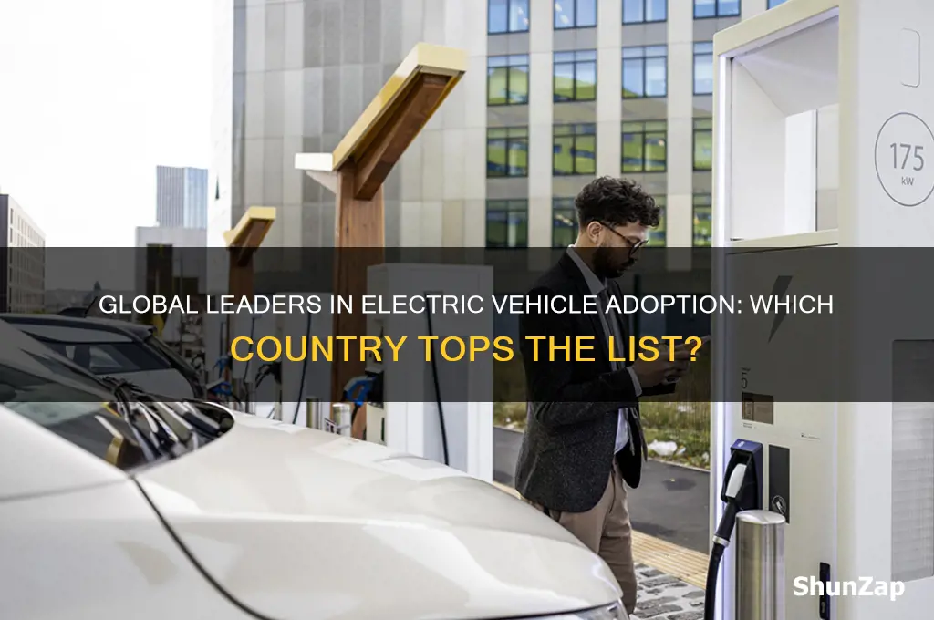 which country is using electric vehicles the most
