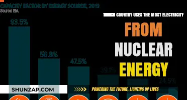 Leading the Charge: Top Country in Nuclear Energy Consumption