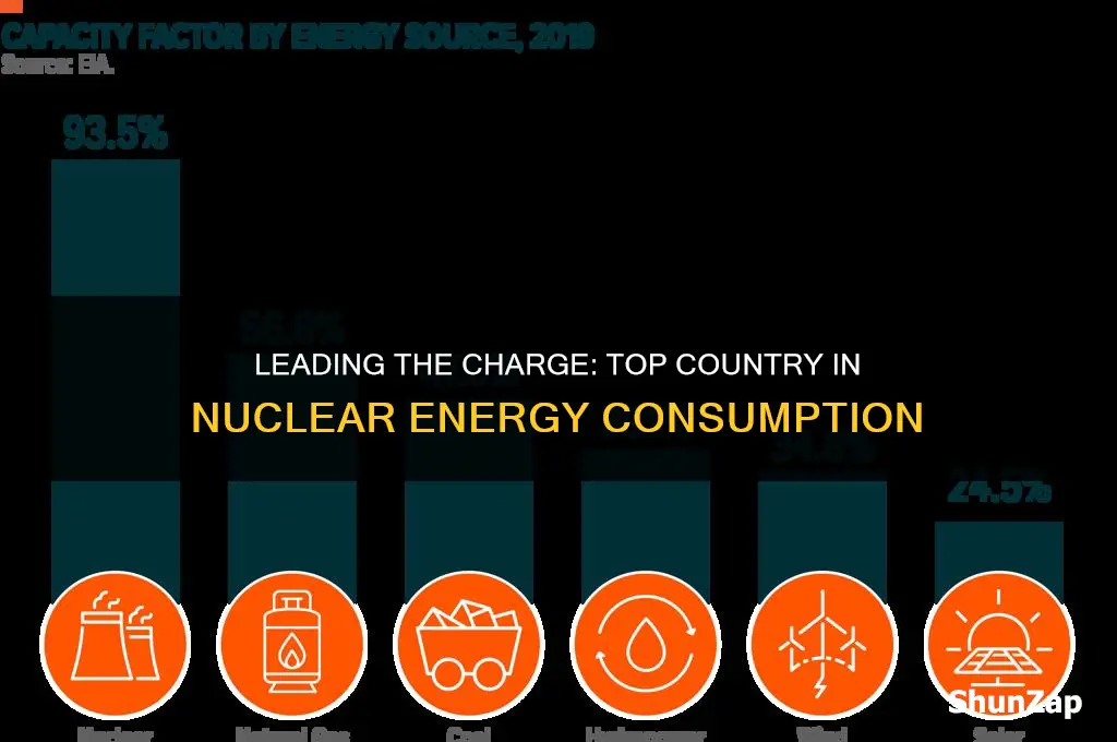 which country uses the most electricity from nuclear energy