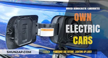 Electric Vehicles and Politics: Which Democratic Candidates Drive Green?