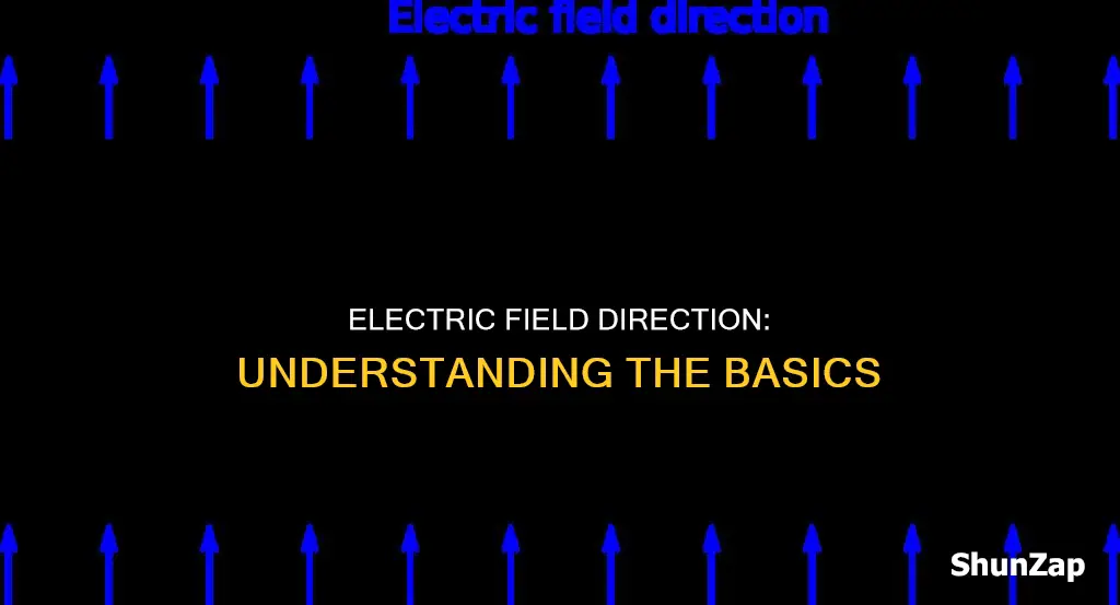 which direction does an electric freild point