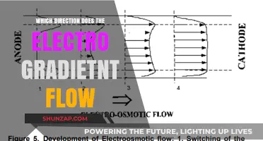 Understanding Electro Gradient Flow: Direction and Dynamics
