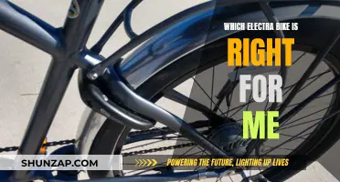 Electra Bike Buying Guide: Choosing the Right Model