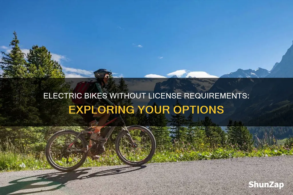 which electric bike does not require license