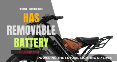 Best Electric Bikes with Removable Batteries: Ultimate Guide