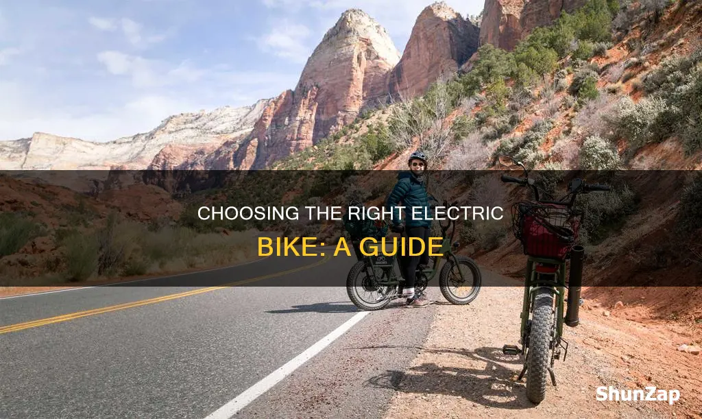 which electric bike is right for me