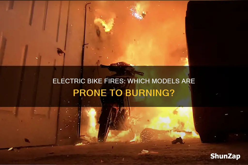 which electric bikes are catching fire