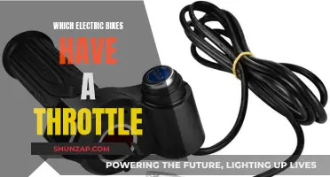 Electric Bike Throttle: Which Models Offer This Feature?