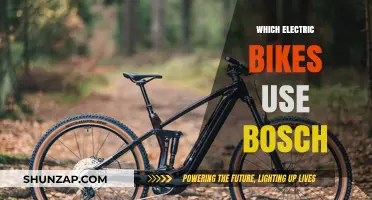 Discover Electric Bikes Powered by Bosch Technology: Top Brands