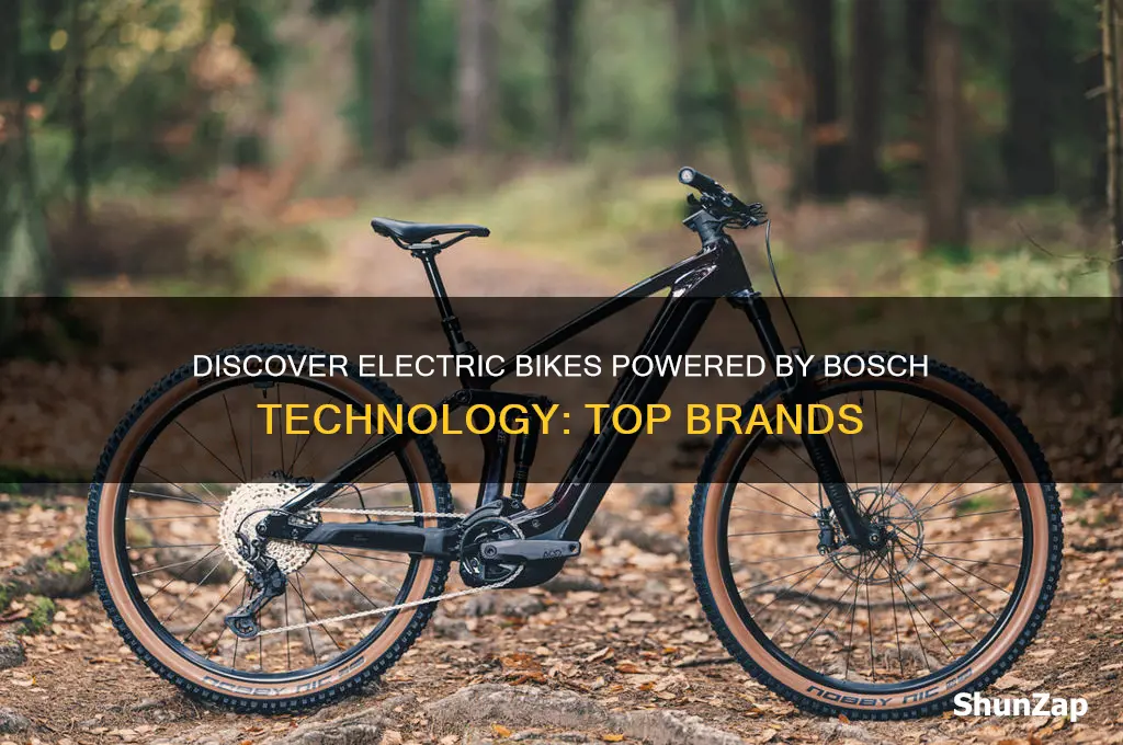 which electric bikes use bosch