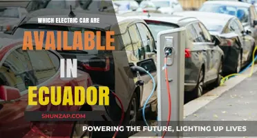 Explore Ecuador's Electric Car Options: Models and Availability Guide