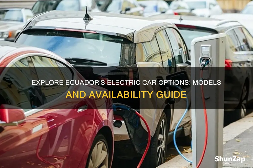which electric car are available in ecuador