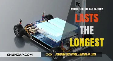 Longest-Lasting Electric Car Batteries: Top Performers and Durability Insights
