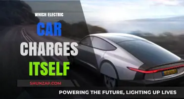 Self-Charging Electric Cars: Myth or Reality? Exploring the Possibilities