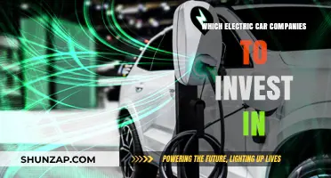 Top Electric Car Companies to Invest in for Future Growth