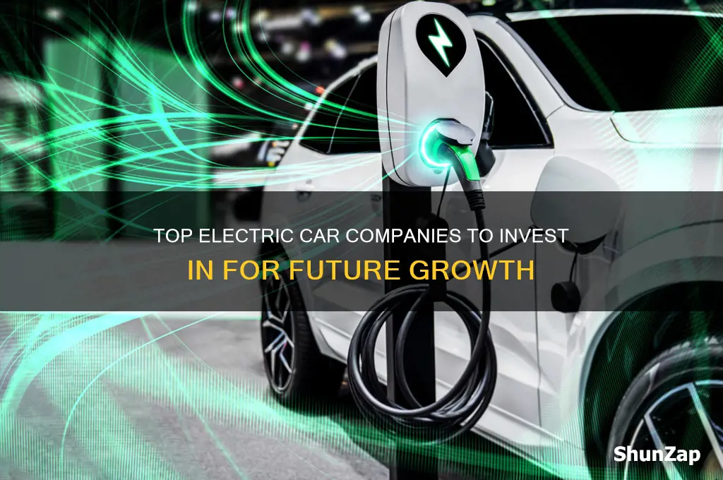 which electric car companies to invest in
